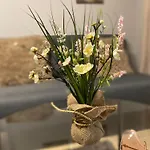 Cozy דירה וולוס