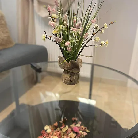 Apartment Cozy Volos