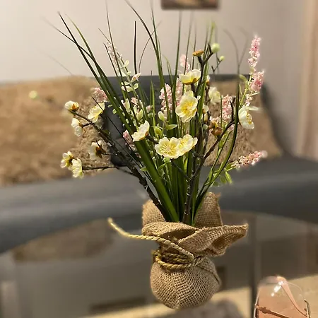 Cozy Apartment Volos