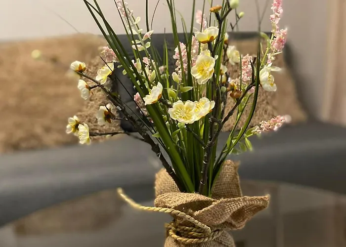 Cozy Appartamento Volos